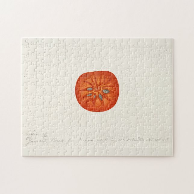 Persimmon (Diospyros) Fruchtfarben Puzzle (Horizontal)