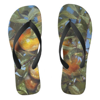 Persimmon Obstbaum Schönes Original Kunstwerk Flip Flops