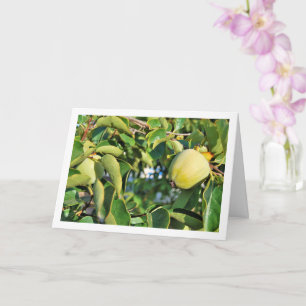 Persimmon Tree Portrait Karte