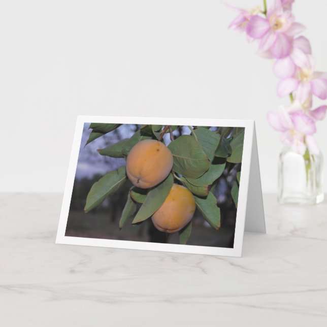 Persimmon Tree Portrait Karte (Orchidee)