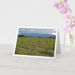 Persimmon Trees and Mountain Landscape Card Karte