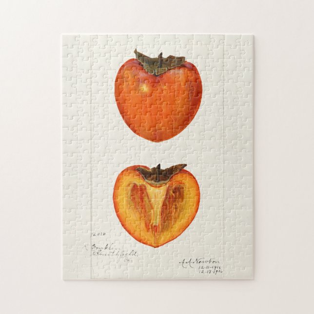 Persimmons Fruchtfarbenmalerei Puzzle (Vertikal)