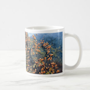 Persimonebaum, Fall Tasse