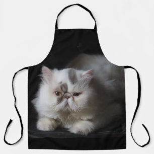 persisch, süß, Katze, Tier, isoliert, Haustier, Kä Schürze