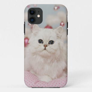 Persische Katze, die auf rosa Kissen sitzt Case-Mate iPhone Hülle