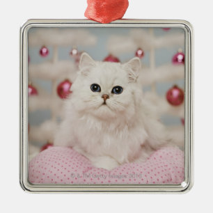 Persische Katze, die auf rosa Kissen sitzt Silbernes Ornament