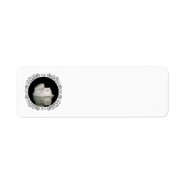 Persische Katze mit Jade Green Eyes (Vorne)