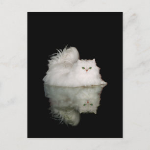 Persische Katze mit Jade Green Eyes Postkarte