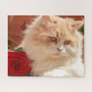 Persische Katze mit Rote Rose Puzzle