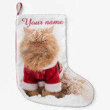 Persische Katze mit Weihnachtsoutfit im Schnee