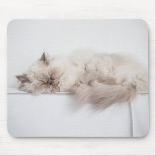 Persische Katze Mousepad