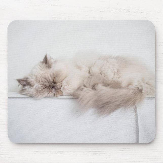 Persische Katze Mousepad (Vorne)