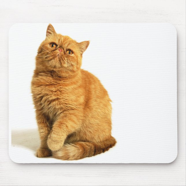 Persische Katze Mousepad (Vorne)