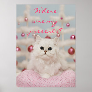 Persische Katze sitzt auf rosa Kissen Poster