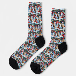 Persische Katze sitzt im Schnee mit Weihnachtshut Socken