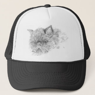 persische Katze Truckerkappe
