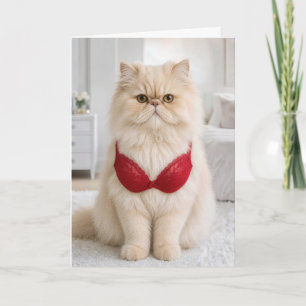 Persische Katze zum Geburtstag mit rotem BH Karte