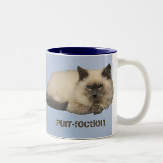 Persische Katze Zweifarbige Tasse