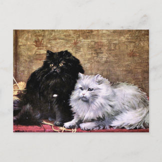 Persische Katzen Malerei Postkarte