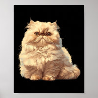 Persische Katzen Persische Katze