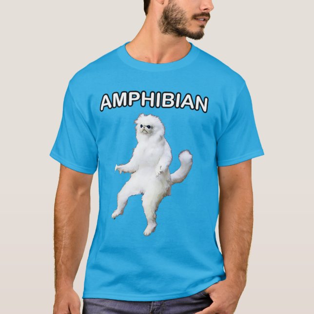 Persische Katzen-Raum-Wächter amphibisch Meme T-Shirt (Vorderseite)