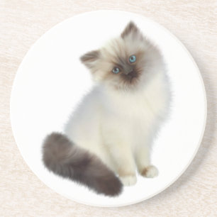 Persische Kitte Getränkeuntersetzer