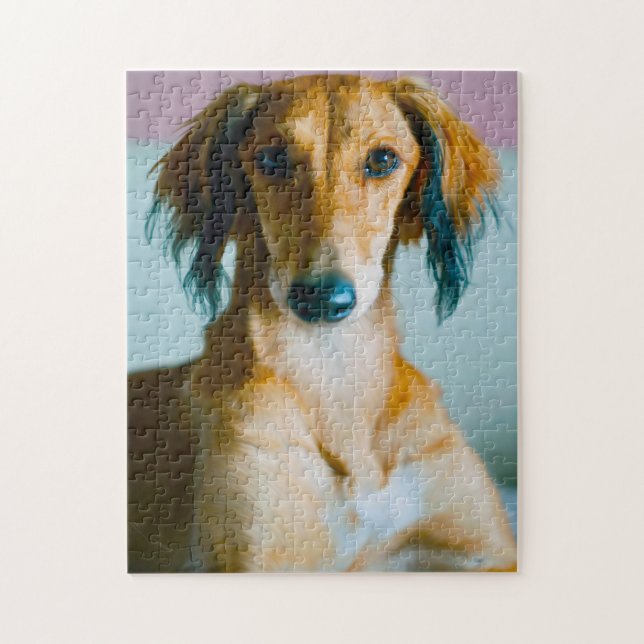 Persischer Hund. Puzzle (Vertikal)