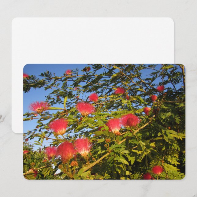 Persischer Seidenbaum Feiertagskarte (Vorne/Hinten)