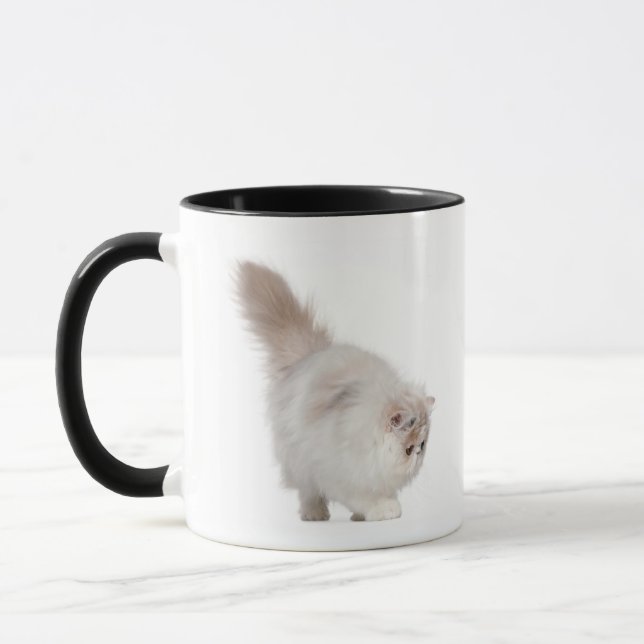 Persisches Kätzchen (3 Monate alte) Tasse (Links)