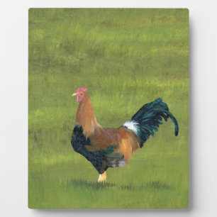 Persistente Alarmanlage - Aufbau der Rasterfarm Fotoplatte