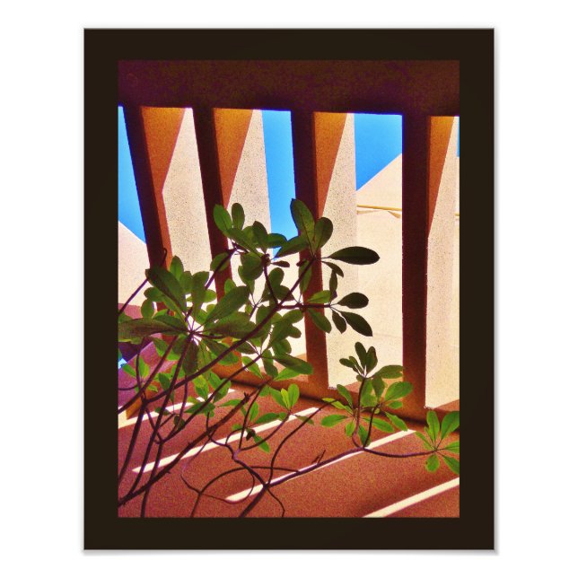 Persistente Pflanze Fotodruck (Vorne)