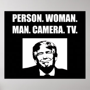 Person. Frau. Mann. Kamera. TV. Anti-Trump Poster