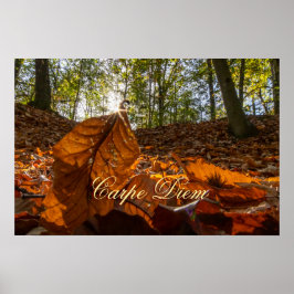 Personal Carpe Diem glänzende farbenfrohe Blätter Poster
