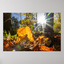 Personal Carpe Diem glänzende farbenfrohe Blätter Poster