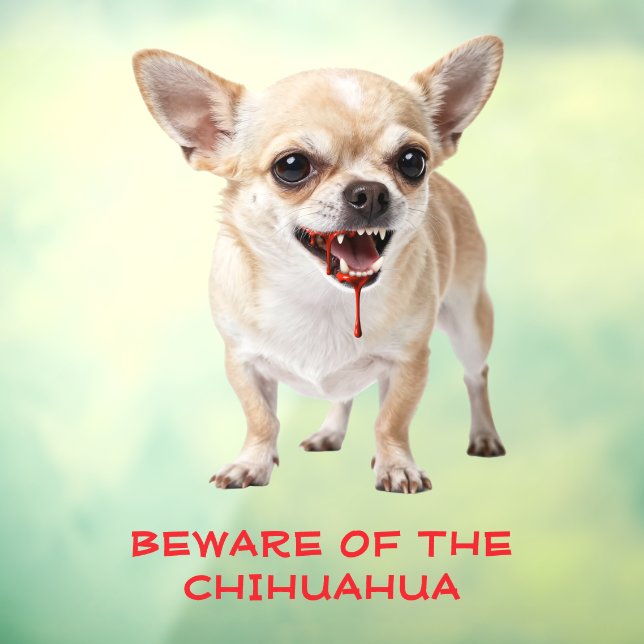 Personalised Beware Of The Chihuahua Aggro Nasty Fensteraufkleber (Blatt 3)