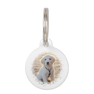 Personalisierbare Pet-Foto-Vorlage mit benutzerdef Haustiermarke