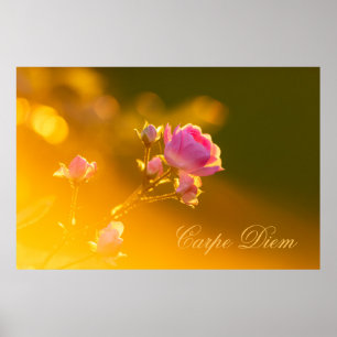 Personalisierbarer Carpe Diem mit schöner Rose! Poster