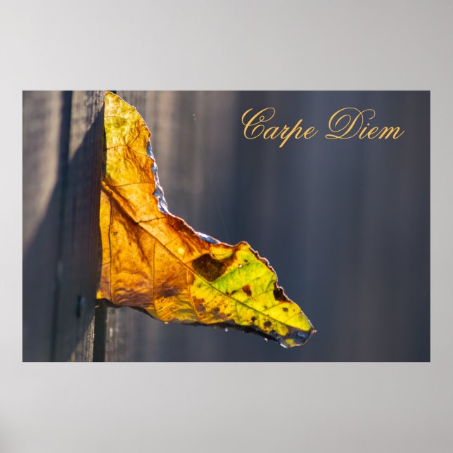 Personalisierbarer Karpfen-Diem mit bunten Blätter Poster (Vorne)