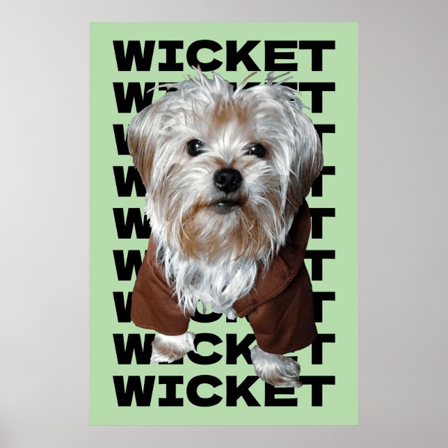 Personalisiere es! MINT Foto für Haustiere und Nam Poster (Vorne)