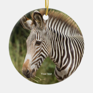 Personalisieren Juvenile Zebra Keramik Ornament
