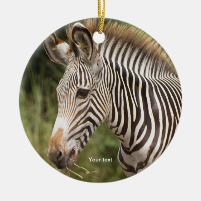 Personalisieren Juvenile Zebra Keramik Ornament (Vorne)