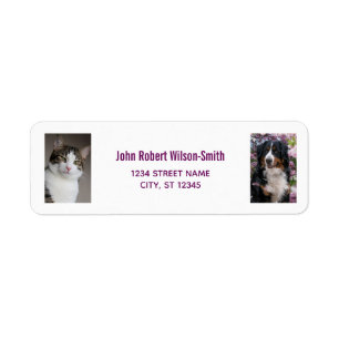 Personalisieren Sie 2 Fotos Katze Hund Moderne Rüc