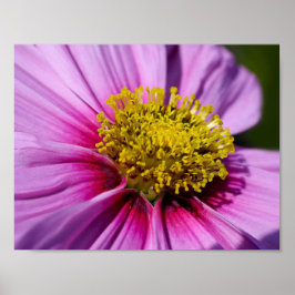 Personalisieren Sie das Schicksal von Anniversarie Poster