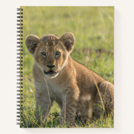 Personalisieren Sie den Namen African Lion Cub Spi Notizbuch