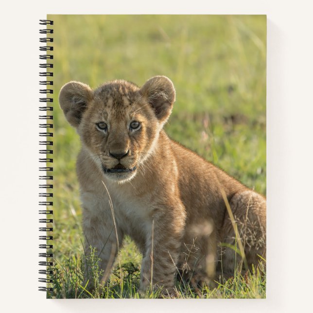 Personalisieren Sie den Namen African Lion Cub Spi Notizbuch (Vorderseite)