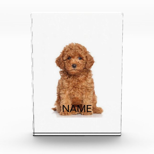 Personalisieren Sie die Personalisierung mit Foto, Fotoblock (Vorderseite)