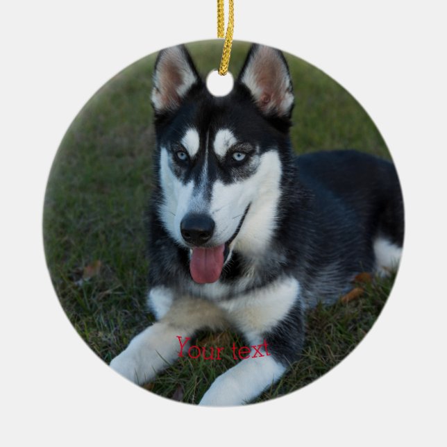 Personalisieren Sie die sibirische Husky-Welpe Keramik Ornament (Vorne)