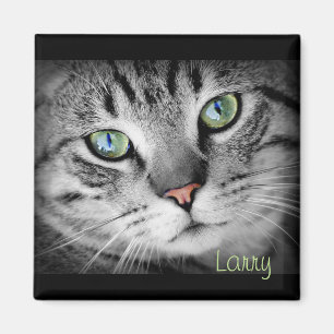 Personalisieren Sie ein Magnet mit Ihrem Lieblings