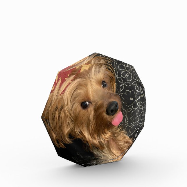 Personalisieren Sie Familienpferd-Hochzeitskinder- Fotoblock (Links)