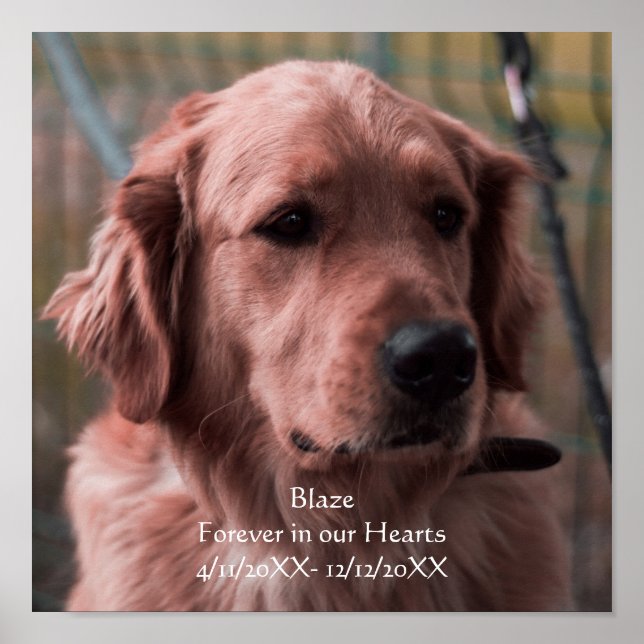 Personalisieren Sie Foto-Pet-Memorial Keepake Poster (Vorne)